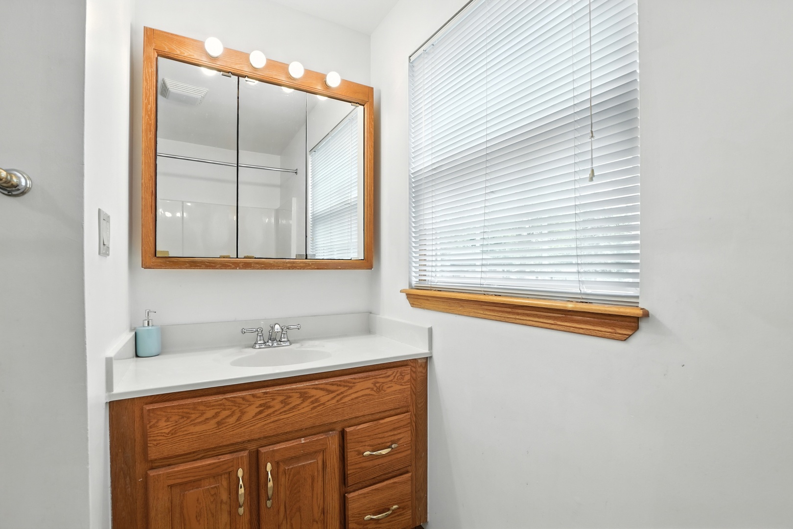1401 20th Street Zion, IL 60099 - Photo 21 of 30 a bathroom with a sink and a mirror