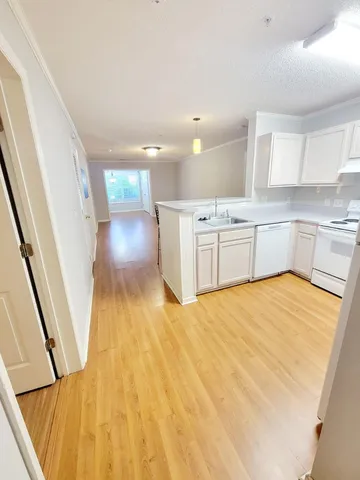 a kitchen with a sink a window and stainless steel appliances