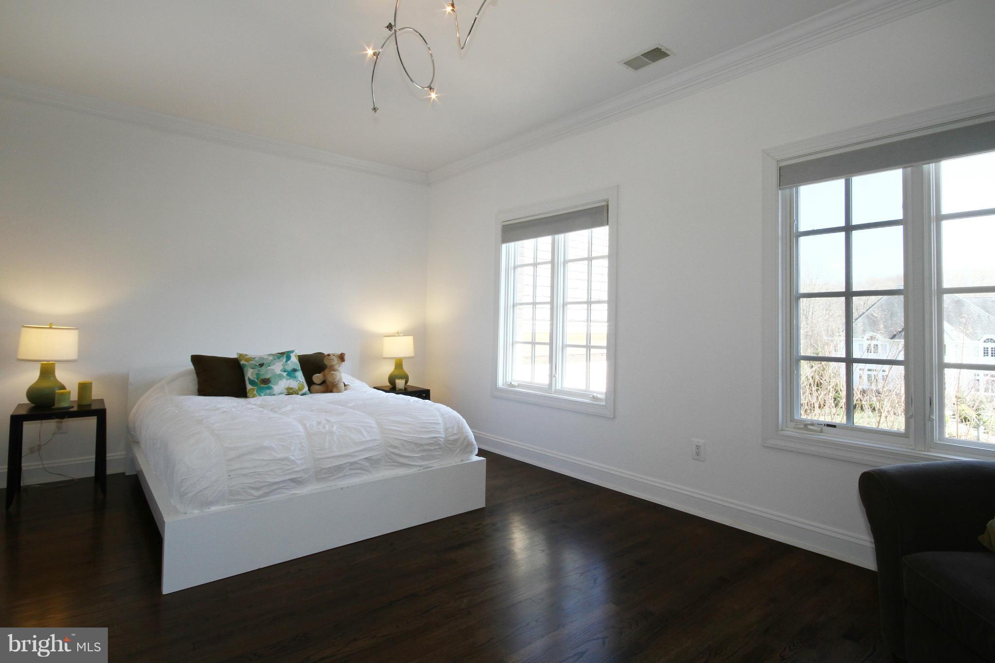 10770 Riverscape Run Great Falls, VA 22066 - Photo 22 of 30 Bedroom 2 with private bath