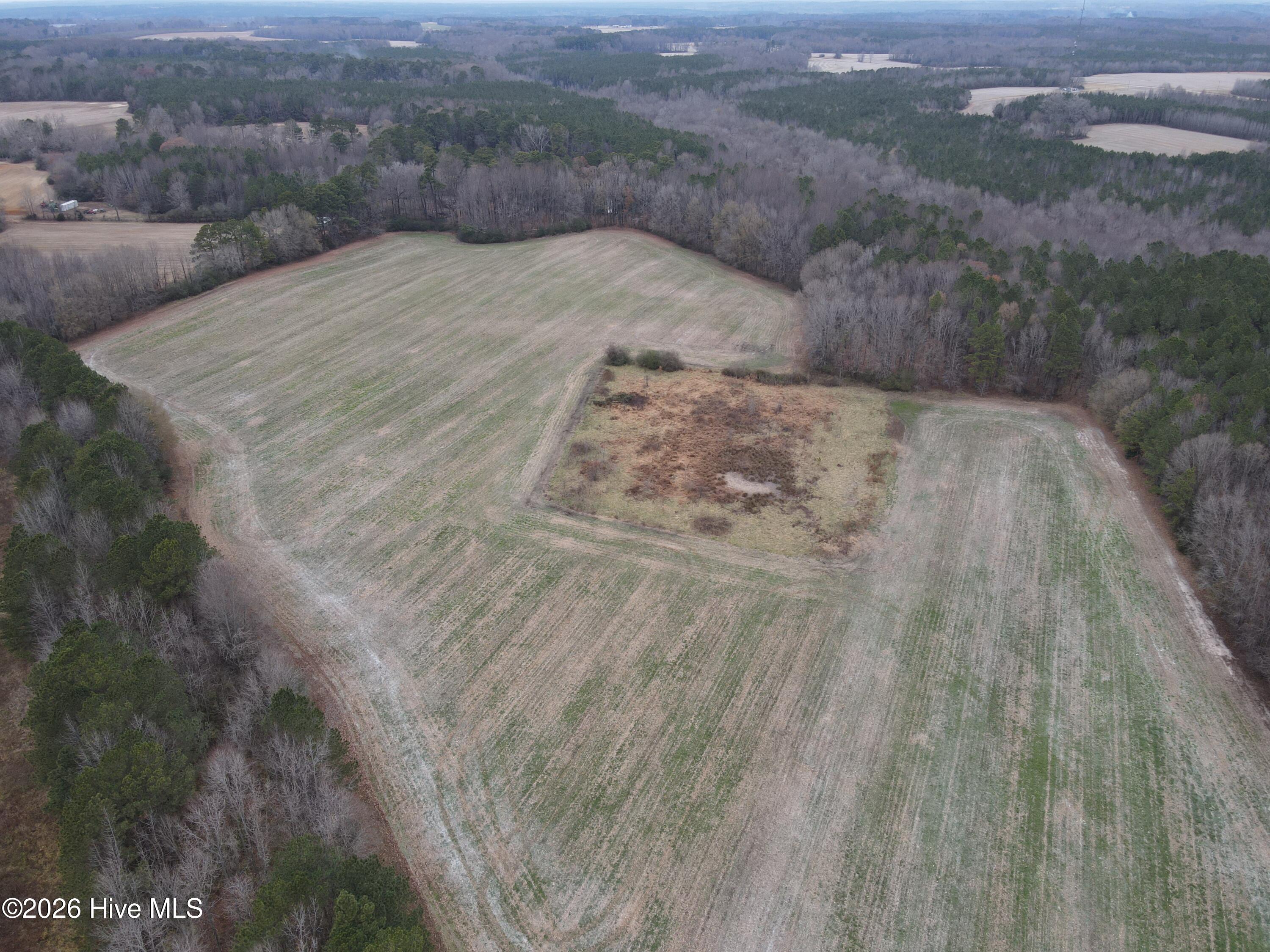 8201 Cedar Grove School Loop Road Nashville, NC 27856 - Photo 33 of 68 CG MLS 33