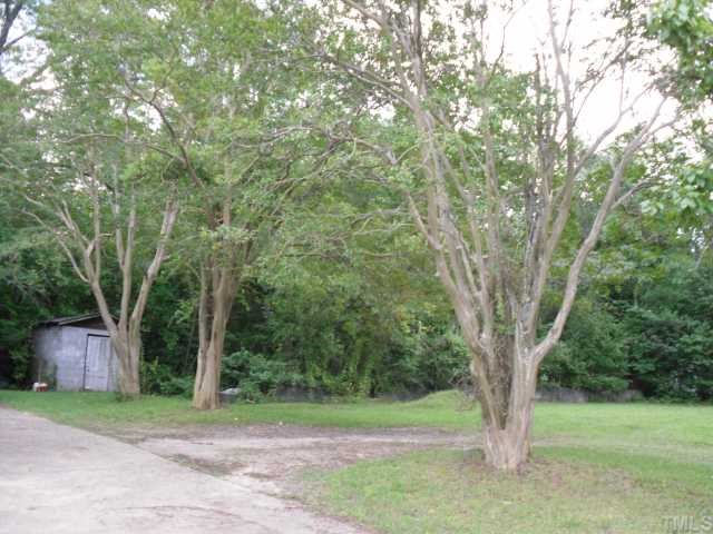 1030 Cross Link Road Raleigh, NC 27610 - Photo 3 of 4 a big tree in middle of the forest