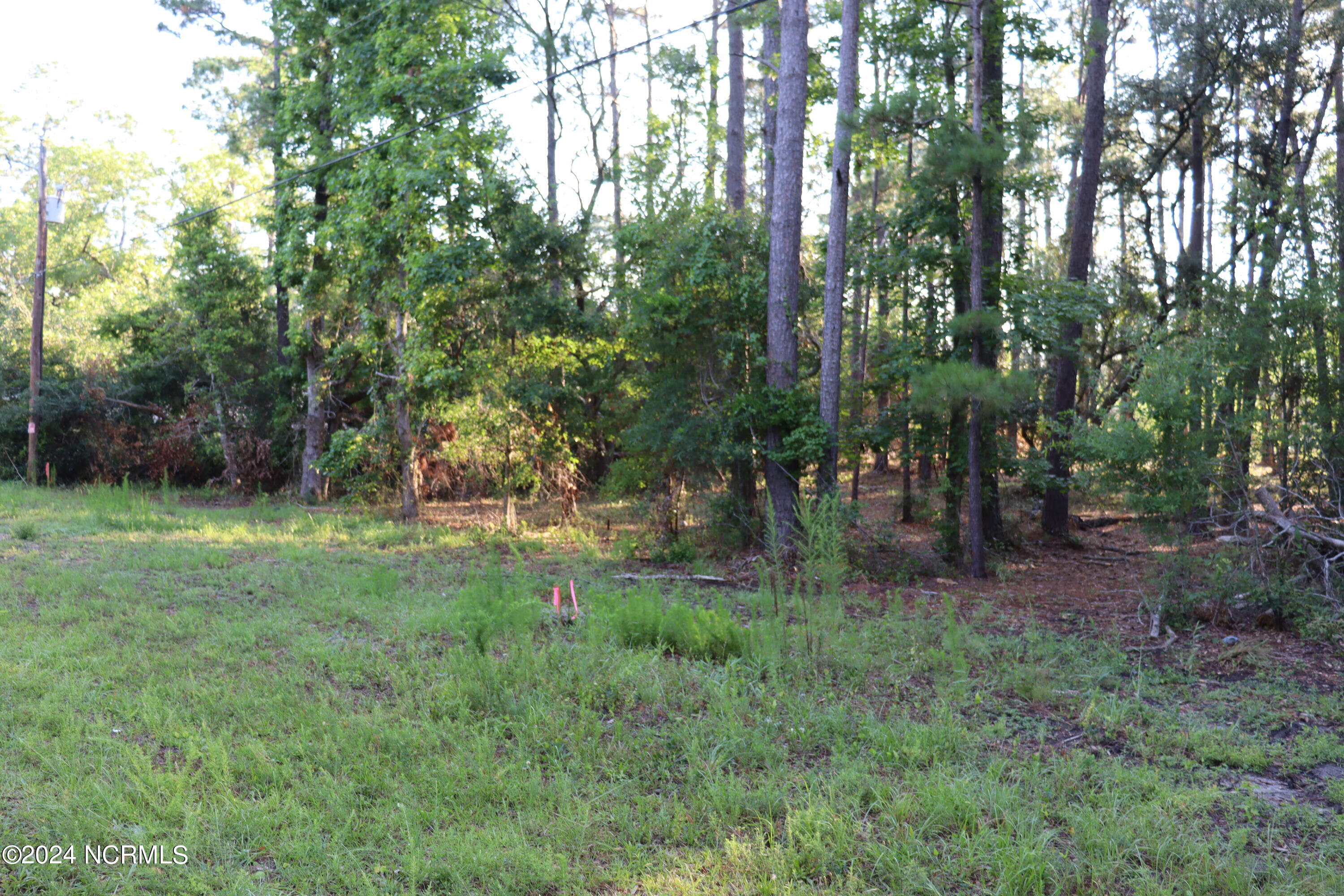 Lot 528 Redwood Road Southport, NC 28461 - Photo 1 of 4 IMG_0740