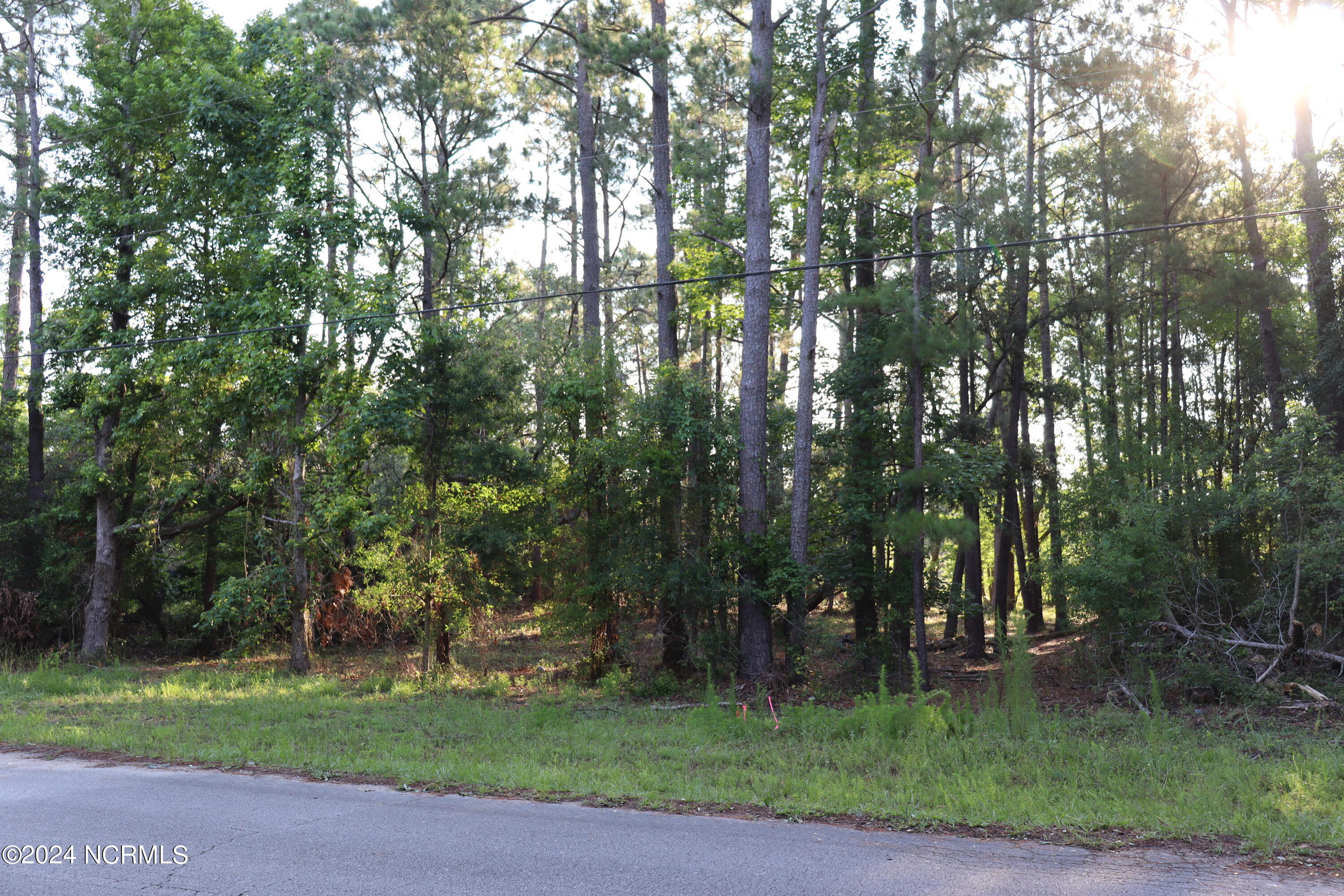 Lot 528 Redwood Road Southport, NC 28461 - Photo 2 of 4 IMG_0741