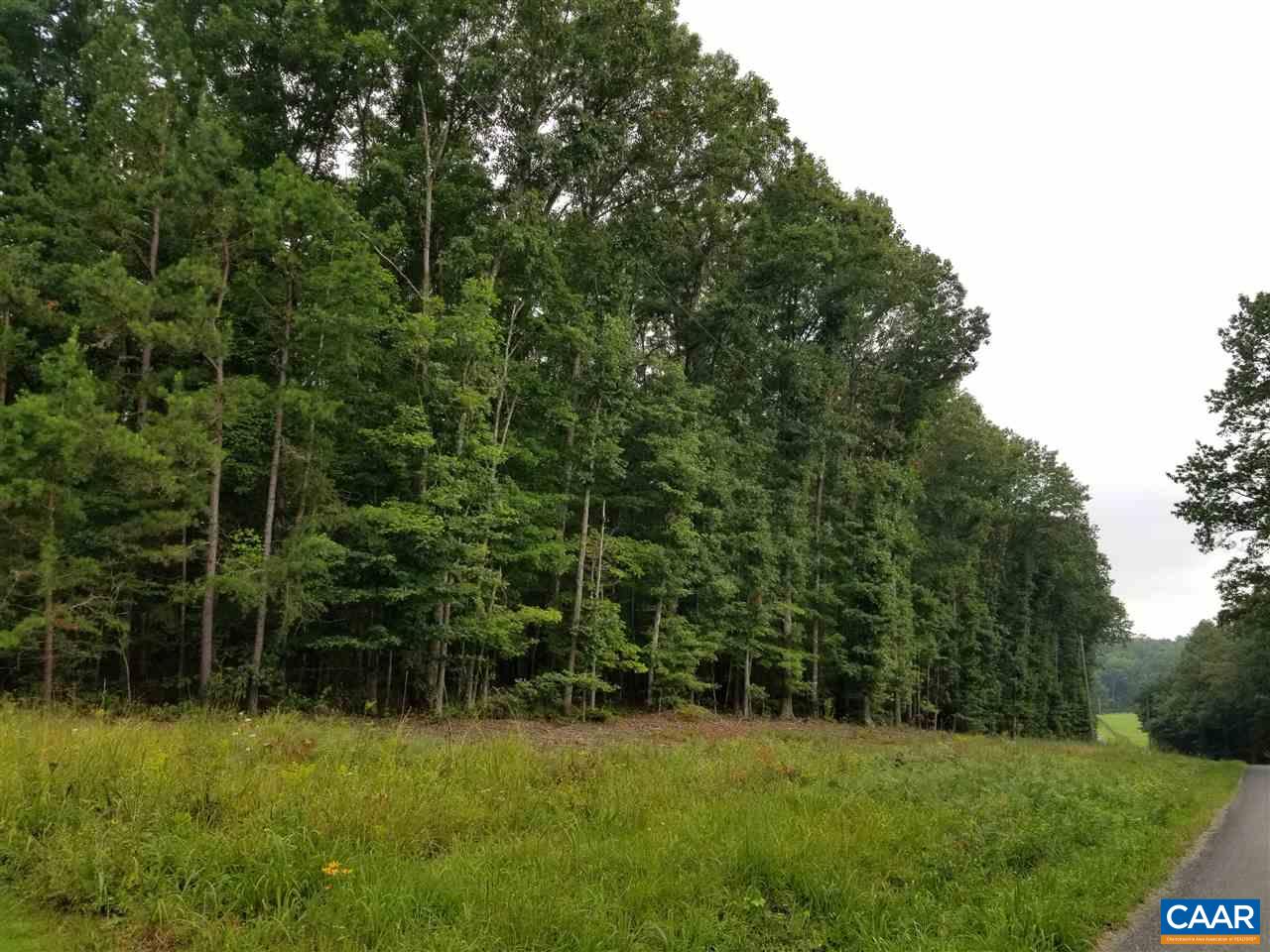 2 B Deep Creek Road Palmyra, VA 22963 - Photo 1 of 5 a view of a green field with a tree