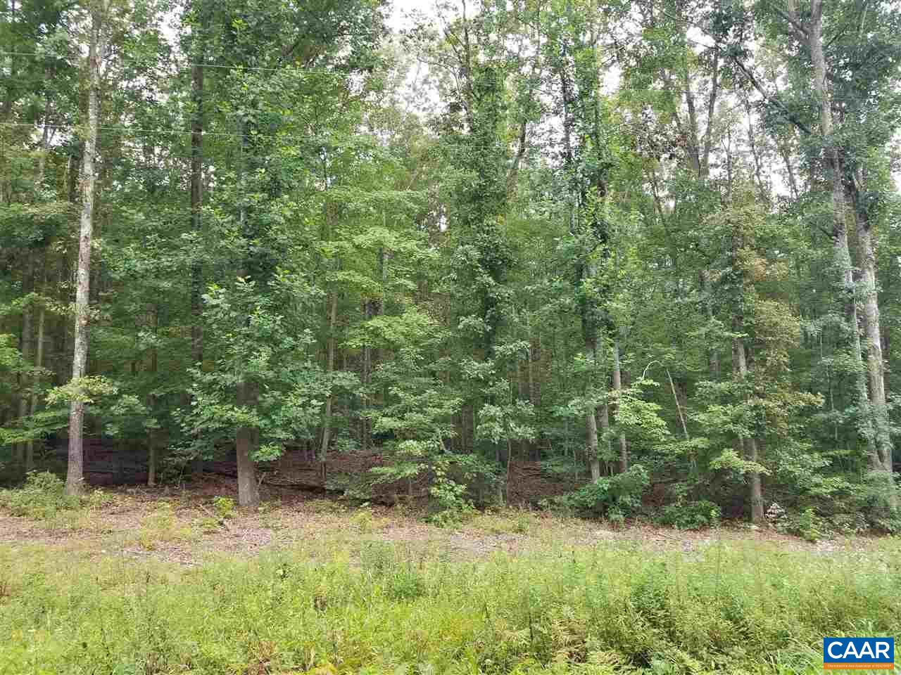 2 B Deep Creek Road Palmyra, VA 22963 - Photo 5 of 5 a view of a forest filled with trees