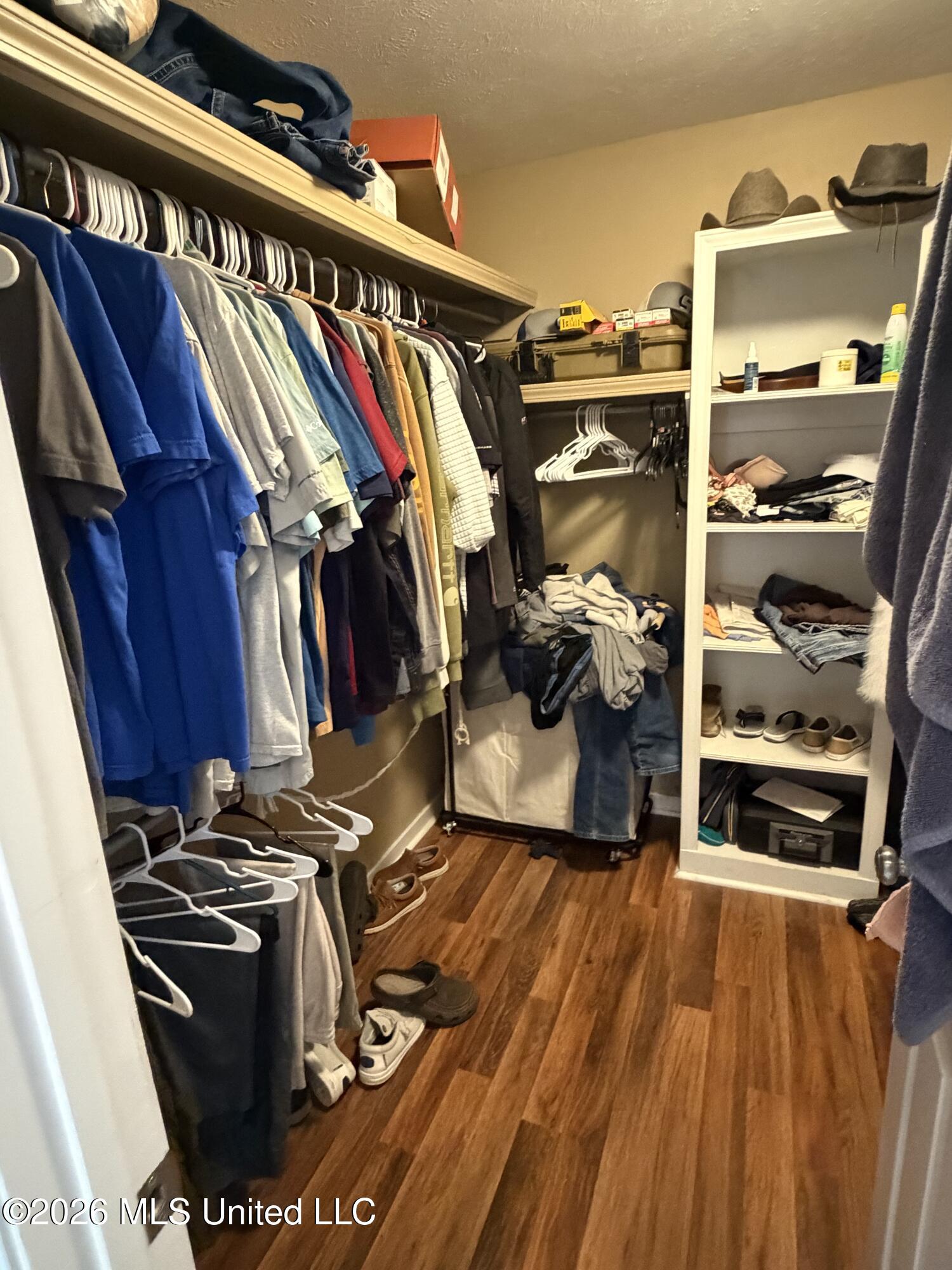 229 Camelot Way Brandon, MS 39047 - Photo 22 of 25 Primary Walk In Closet