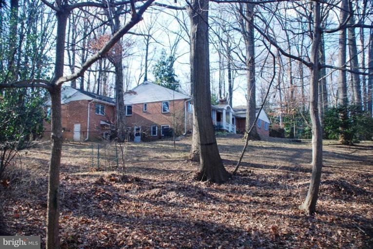 207 Apple Grove Road Silver Spring, MD 20904 - Photo 13 of 30 Wooded View / Acreage