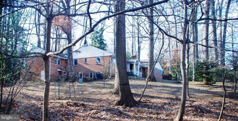207 Apple Grove Road Silver Spring, MD 20904 - Photo 14 of 30 Wooded View / Acreage 2