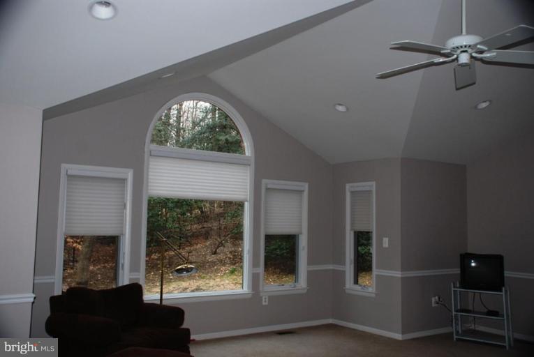 207 Apple Grove Road Silver Spring, MD 20904 - Photo 23 of 30 Master Bedroom #2