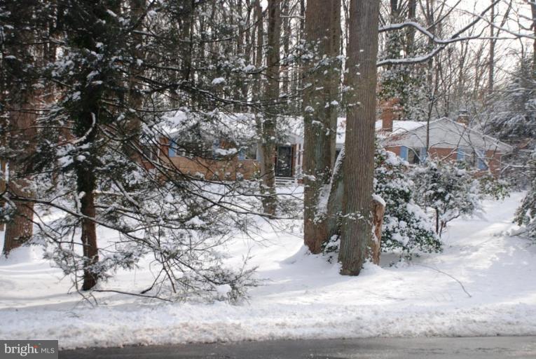 207 Apple Grove Road Silver Spring, MD 20904 - Photo 27 of 30 Wooded View / Acreage 3