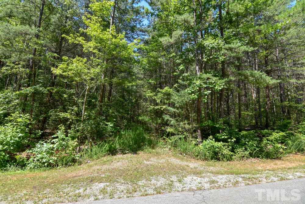 10.5-acres Loftis Loop Roxboro, NC 27573 - Photo 2 of 3
