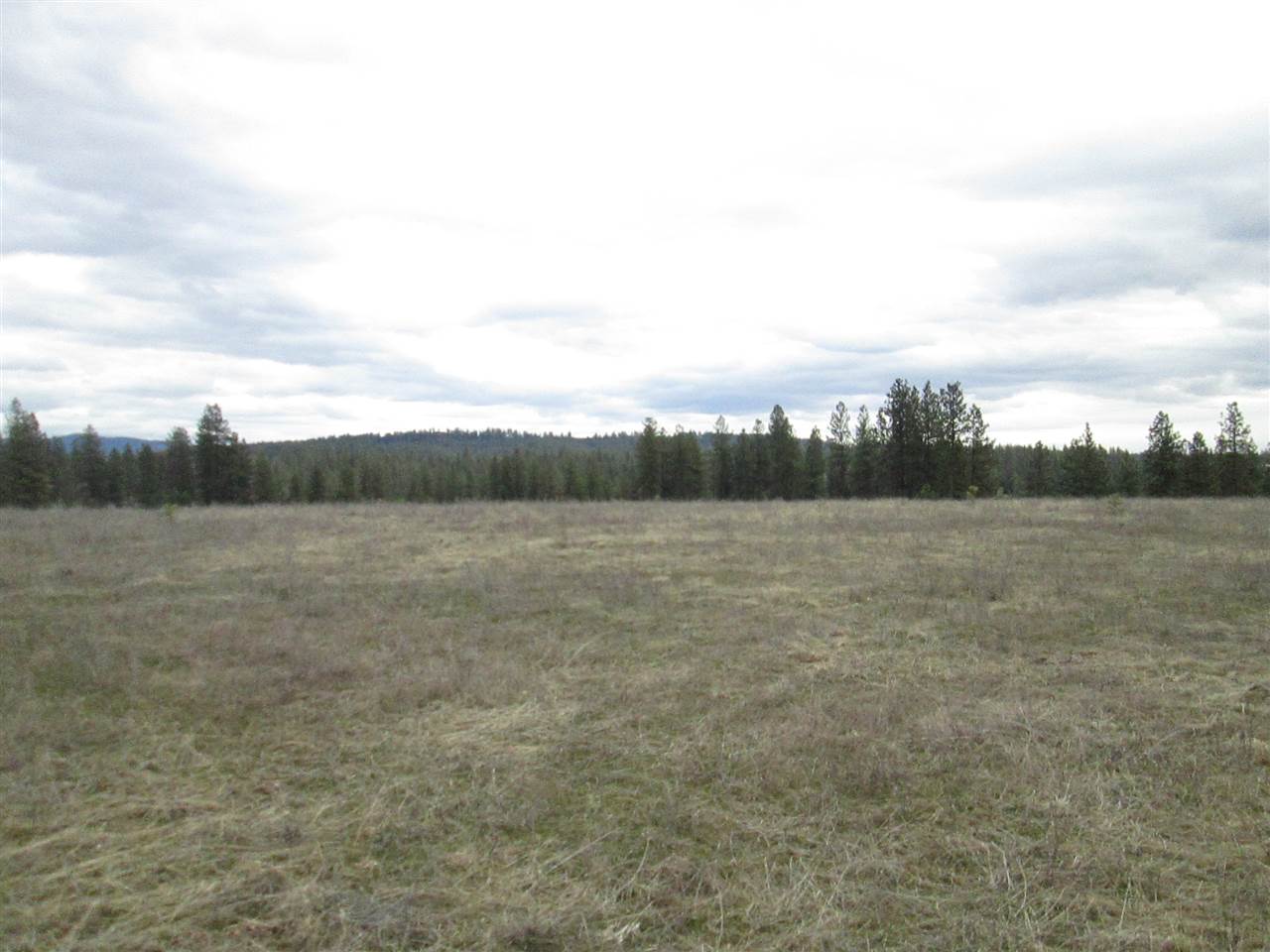 26408 North Yale Road Chattaroy, WA 99003 - Photo 18 of 19