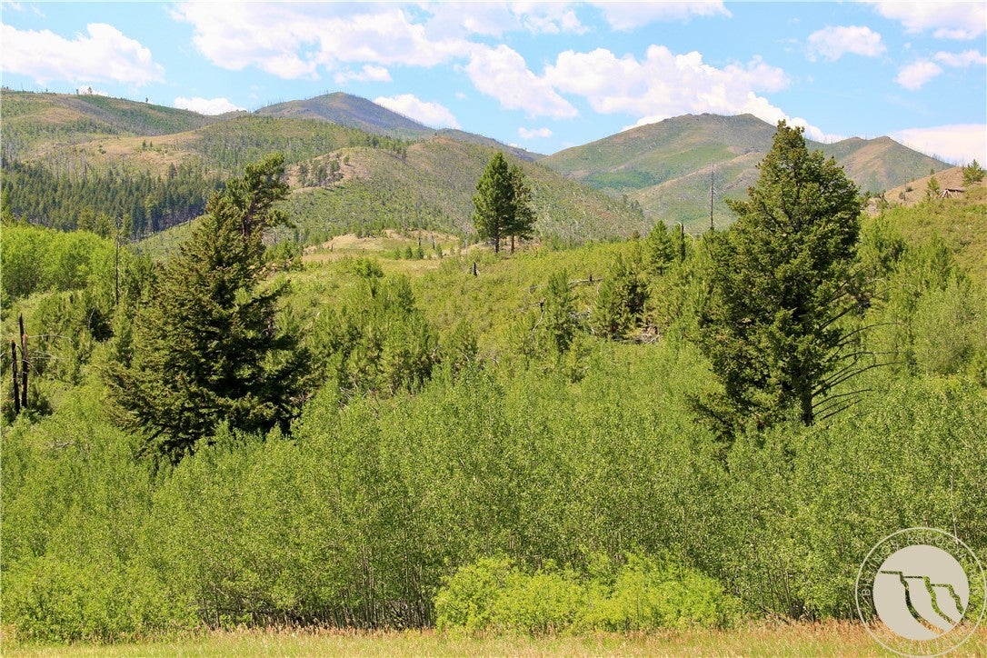 378 West Bridger Creek Road Reed Point, MT 59069 - Photo 5 of 45 Gallery Image 5