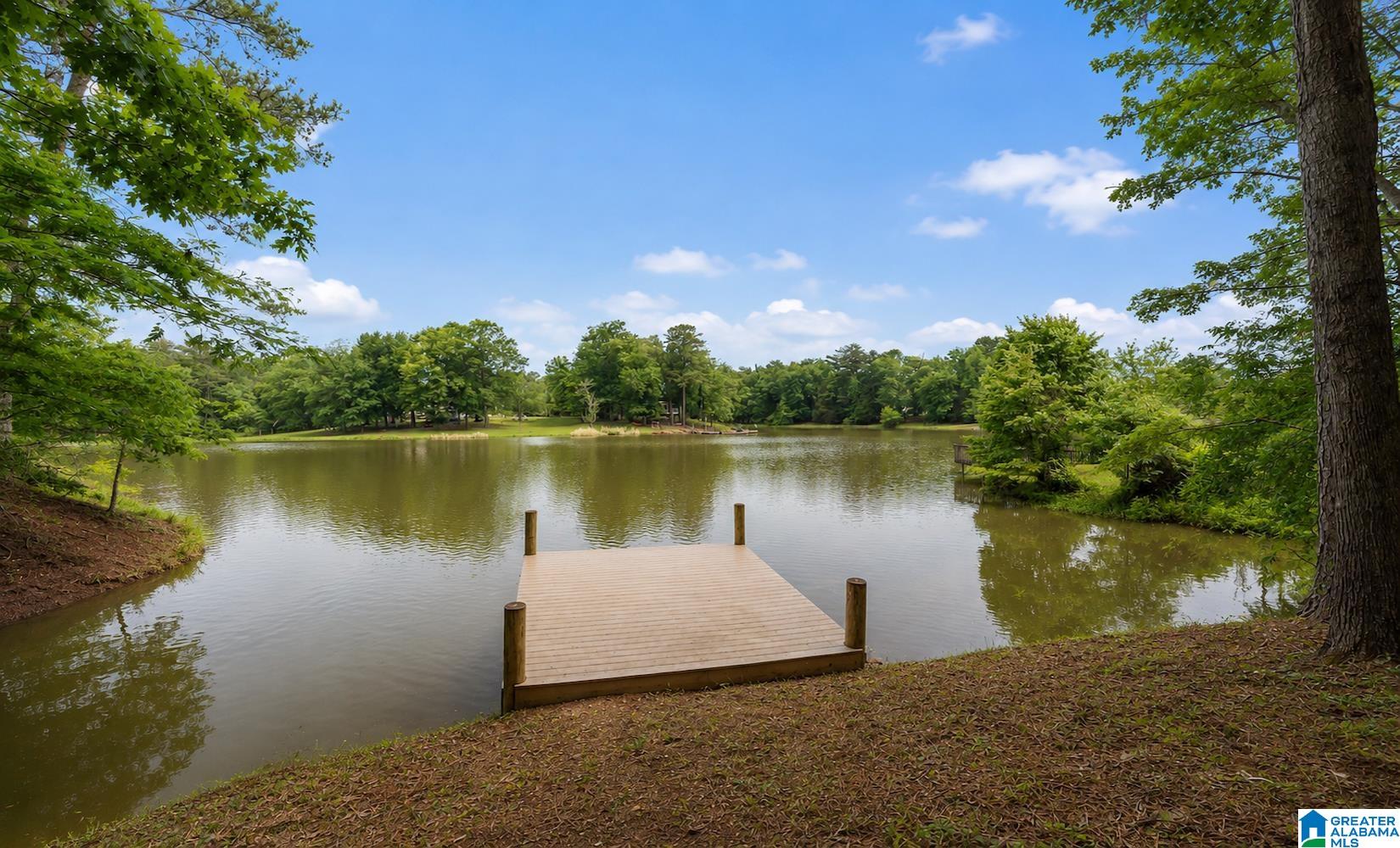 1775 Broken Arrow Creek Road Riverside, AL 35135 - Photo 1 of 43