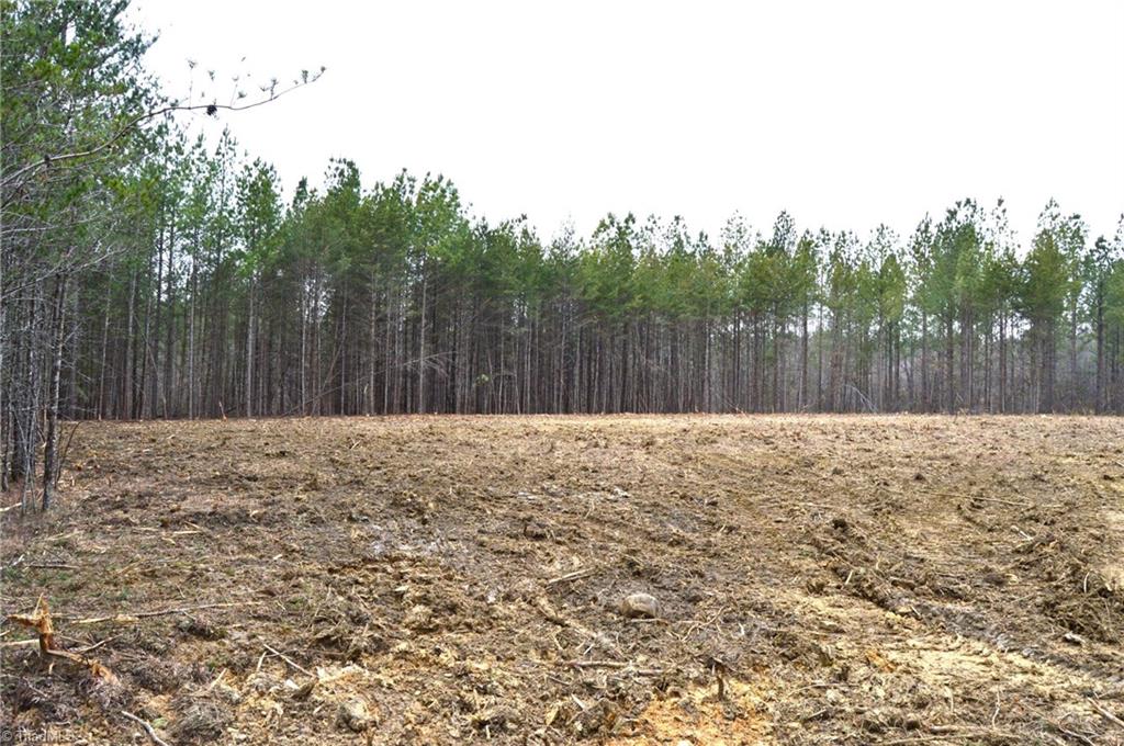 182 Dibrell Road Ruffin, NC 27326 - Photo 17 of 23 Gallery Image 17