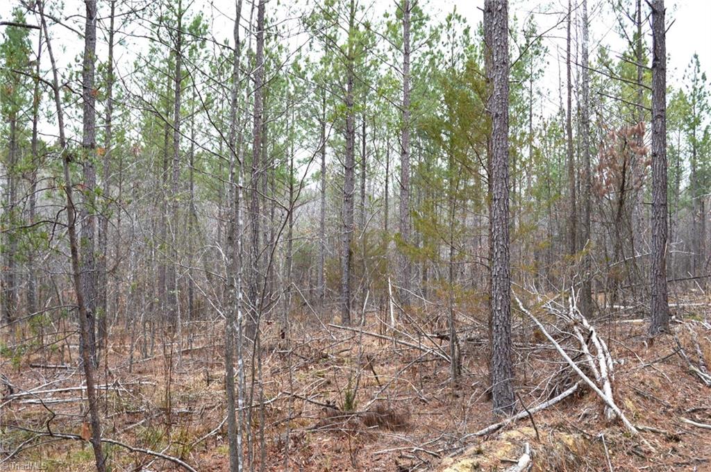 182 Dibrell Road Ruffin, NC 27326 - Photo 18 of 23 Gallery Image 18
