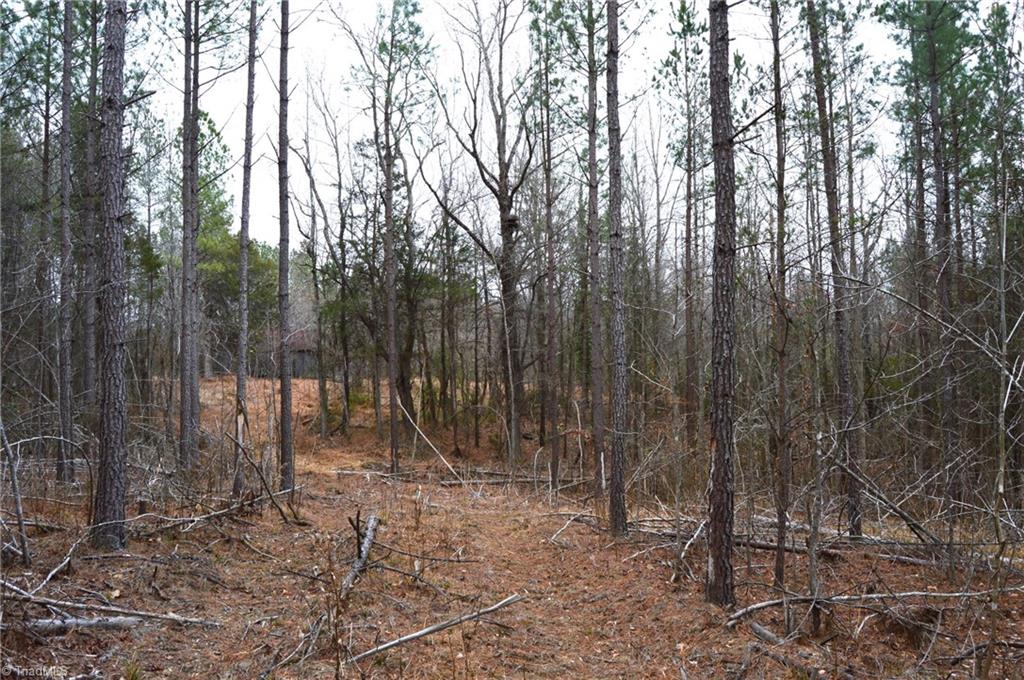 182 Dibrell Road Ruffin, NC 27326 - Photo 19 of 23 Gallery Image 19