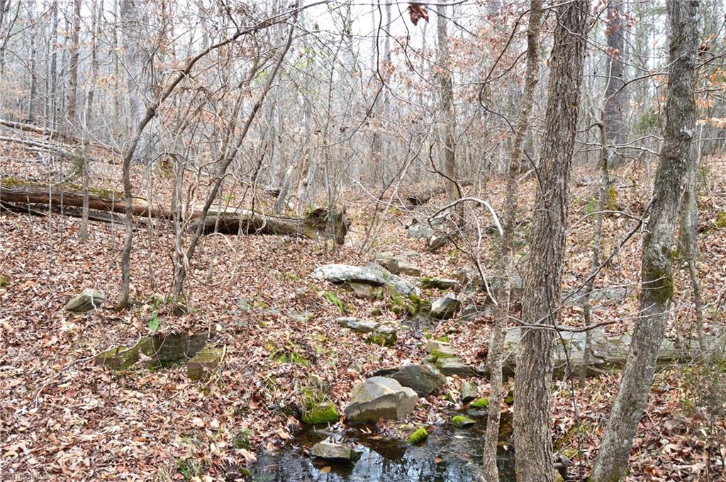 182 Dibrell Road Ruffin, NC 27326 - Photo 20 of 23 Gallery Image 20