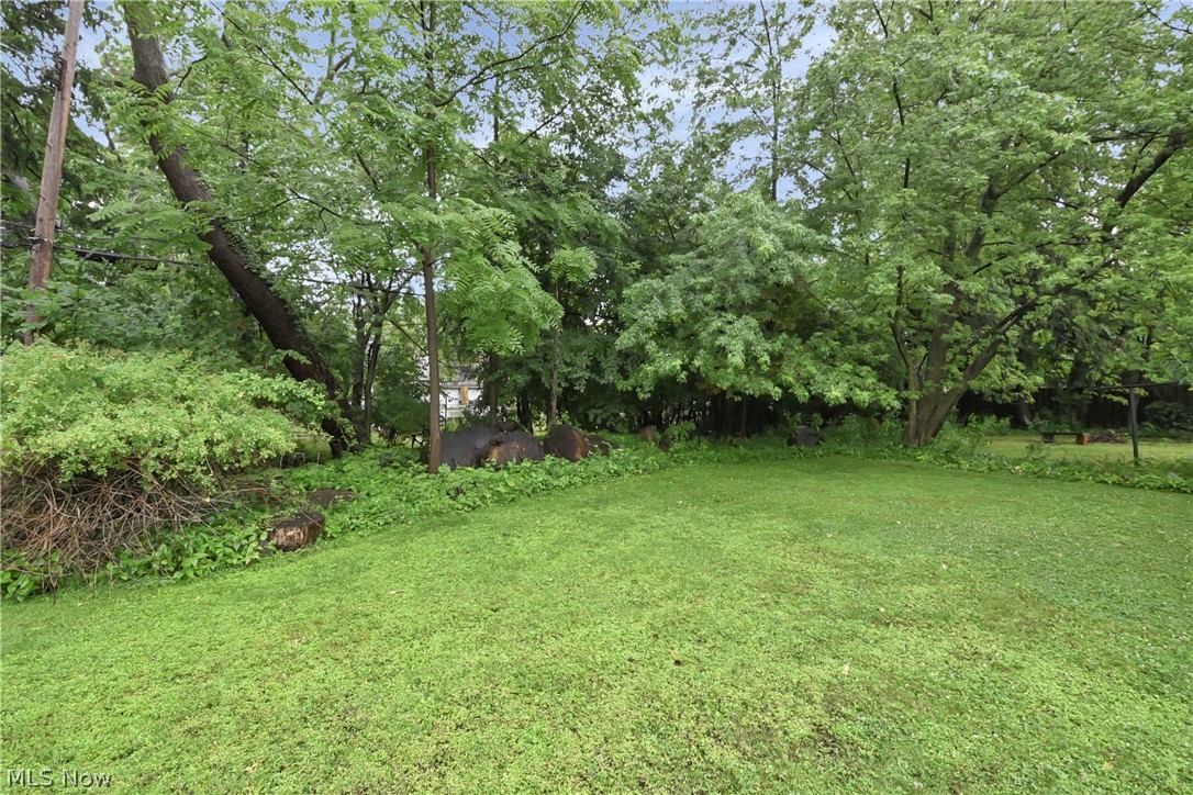 3352 Clarendon Road Cleveland, OH 44118 - Photo 35 of 35 Rear yard