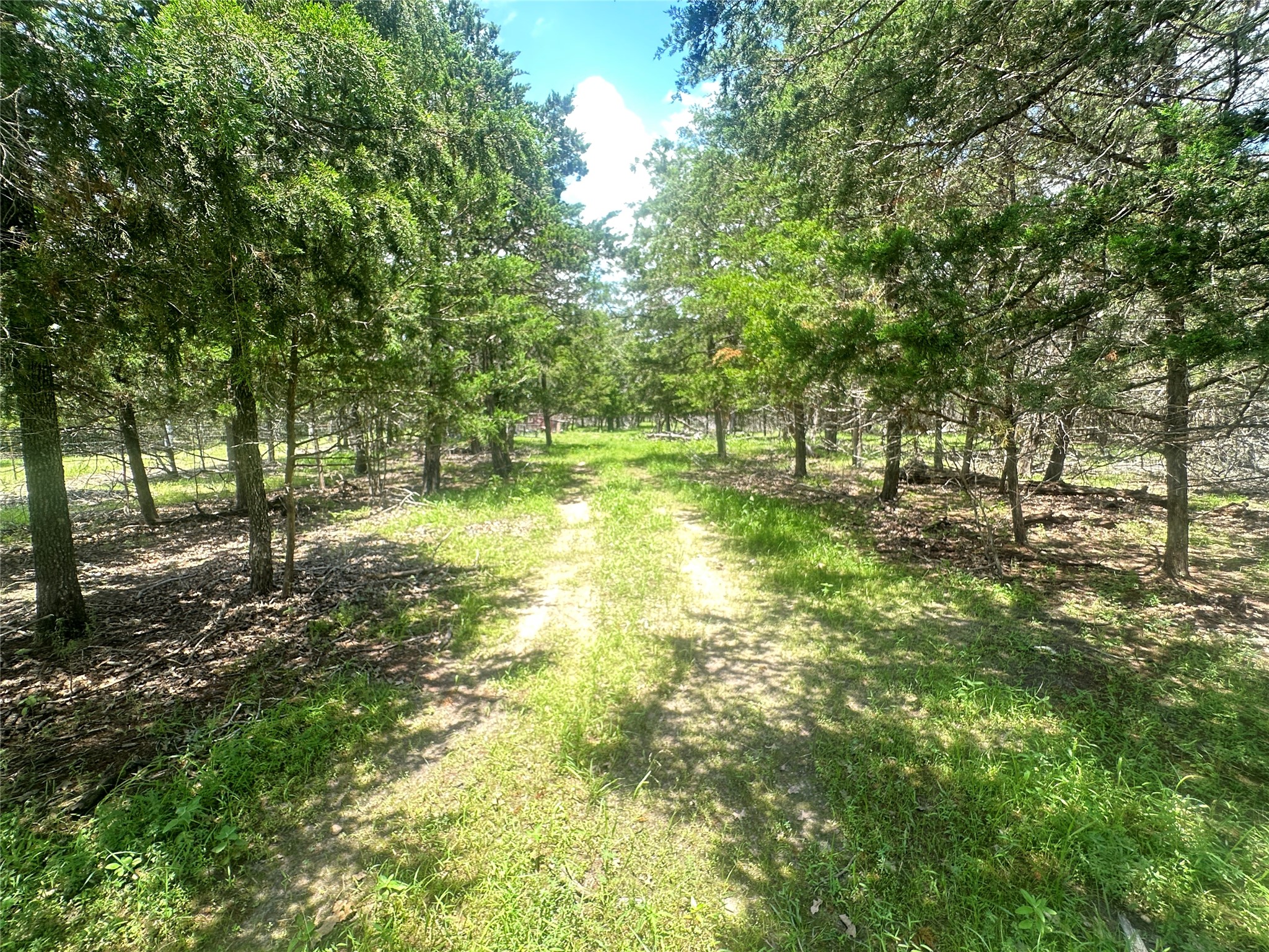 10 West Frontage Road Flatonia, TX 78941 - Photo 7 of 8