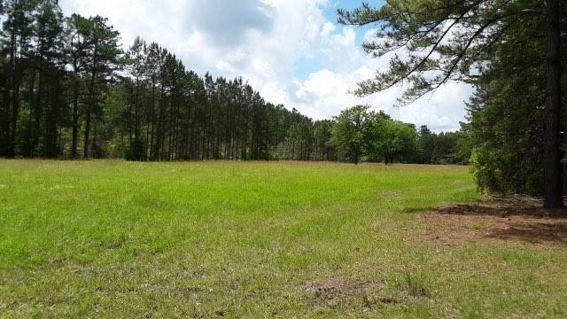 5546 Mt Carmel Road Walterboro, SC 29488 - Photo 4 of 12 Fenced Pasture
