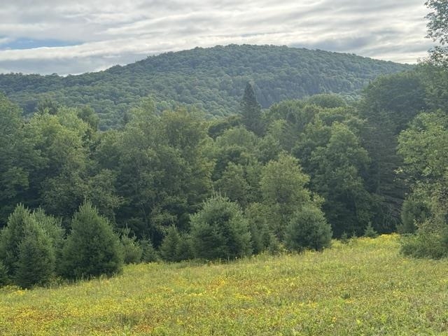 Shadow Lake Road Glover, VT 05839 - Photo 2 of 18 Gallery Image 2