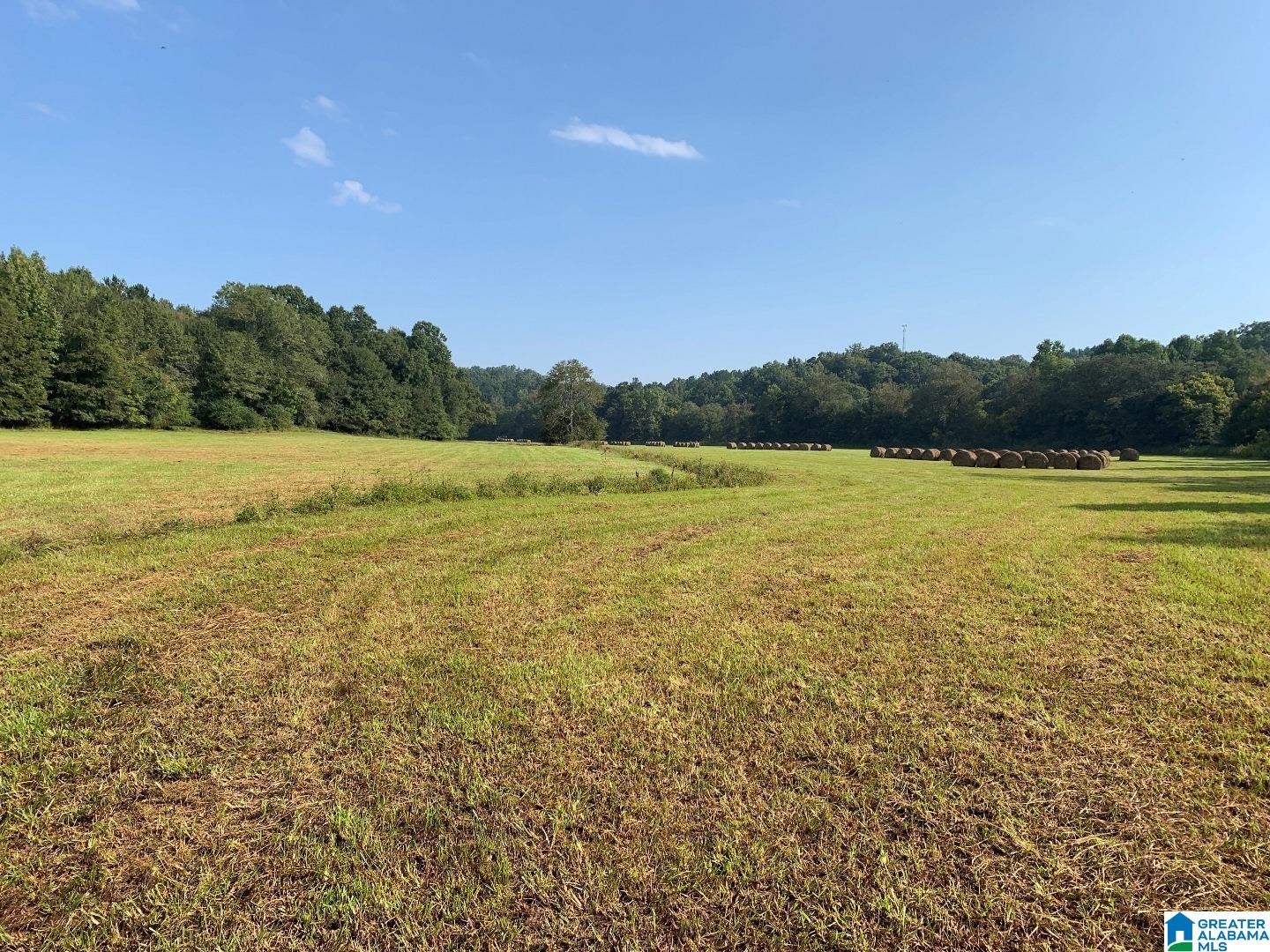 78 St E Acres Al, Unit 101 Anniston, AL 36207 - Photo 11 of 17
