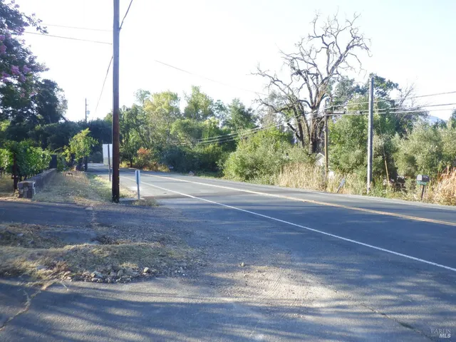 a view of a forest with trees