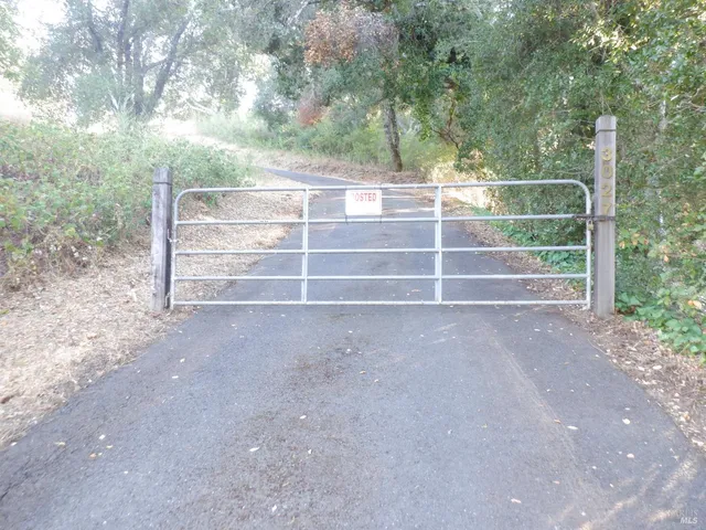 a view of a forest with trees in the background