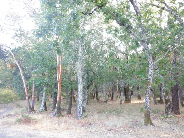 a view of lake with mountain