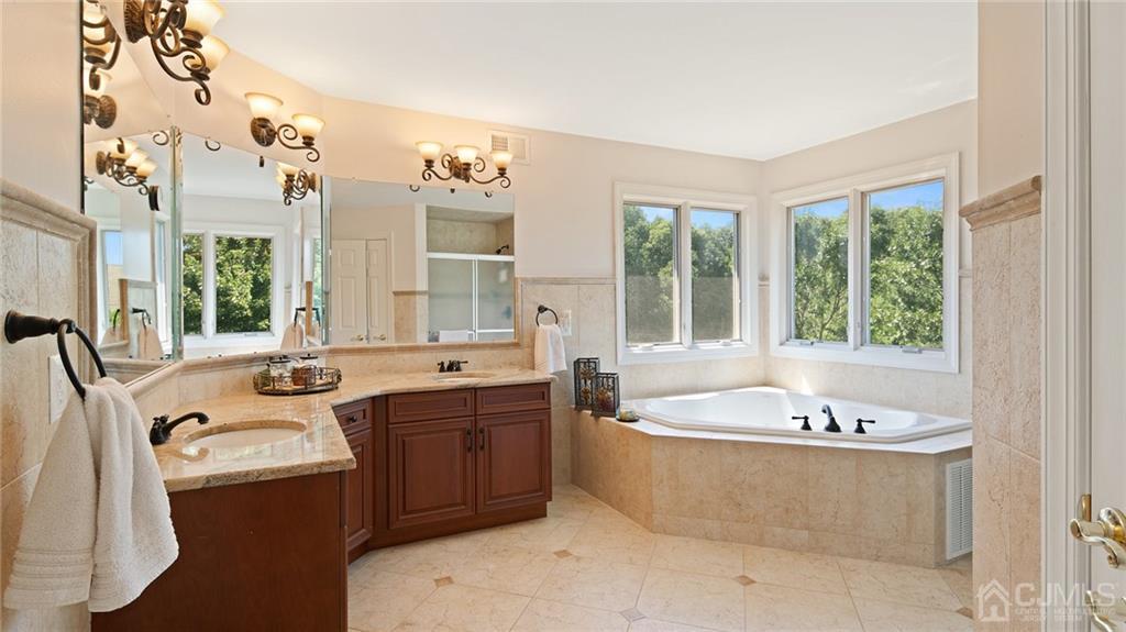 5 Daisy Court Skillman, NJ 08558 - Photo 39 of 50 a bathroom with a tub sink and mirror