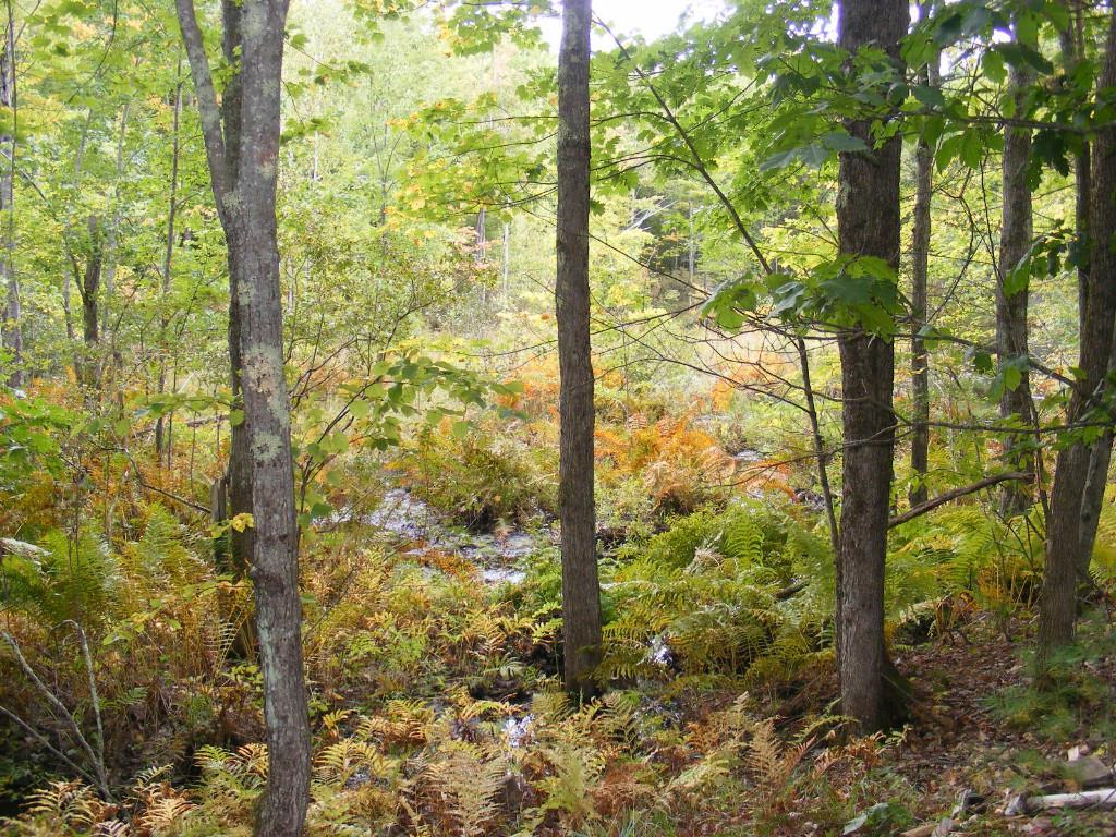 960 New County Road Biddeford, ME 04005 - Photo 15 of 35 Photo