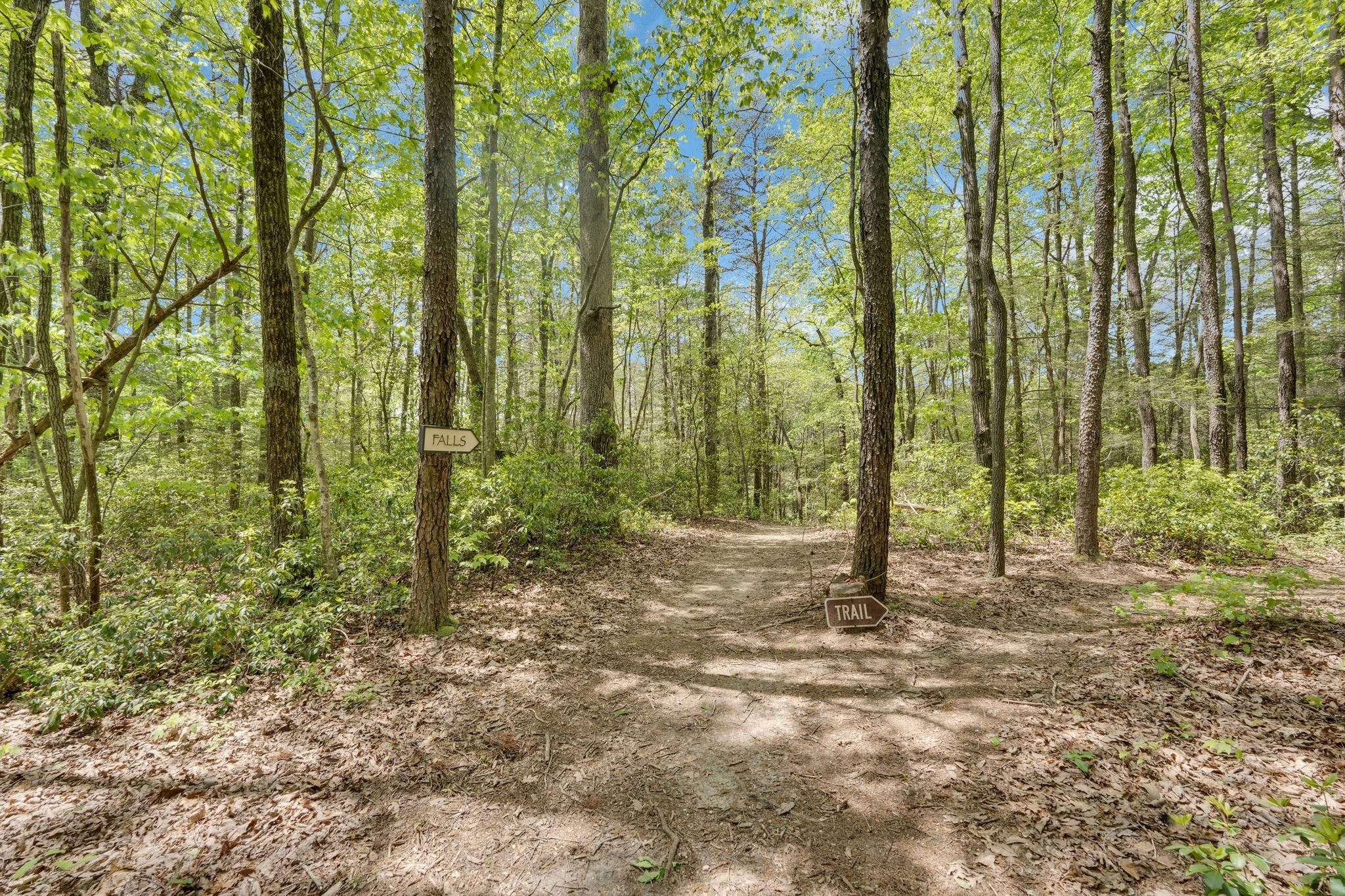 512 Deer Lick Trail Monteagle, TN 37356 - Photo 31 of 44