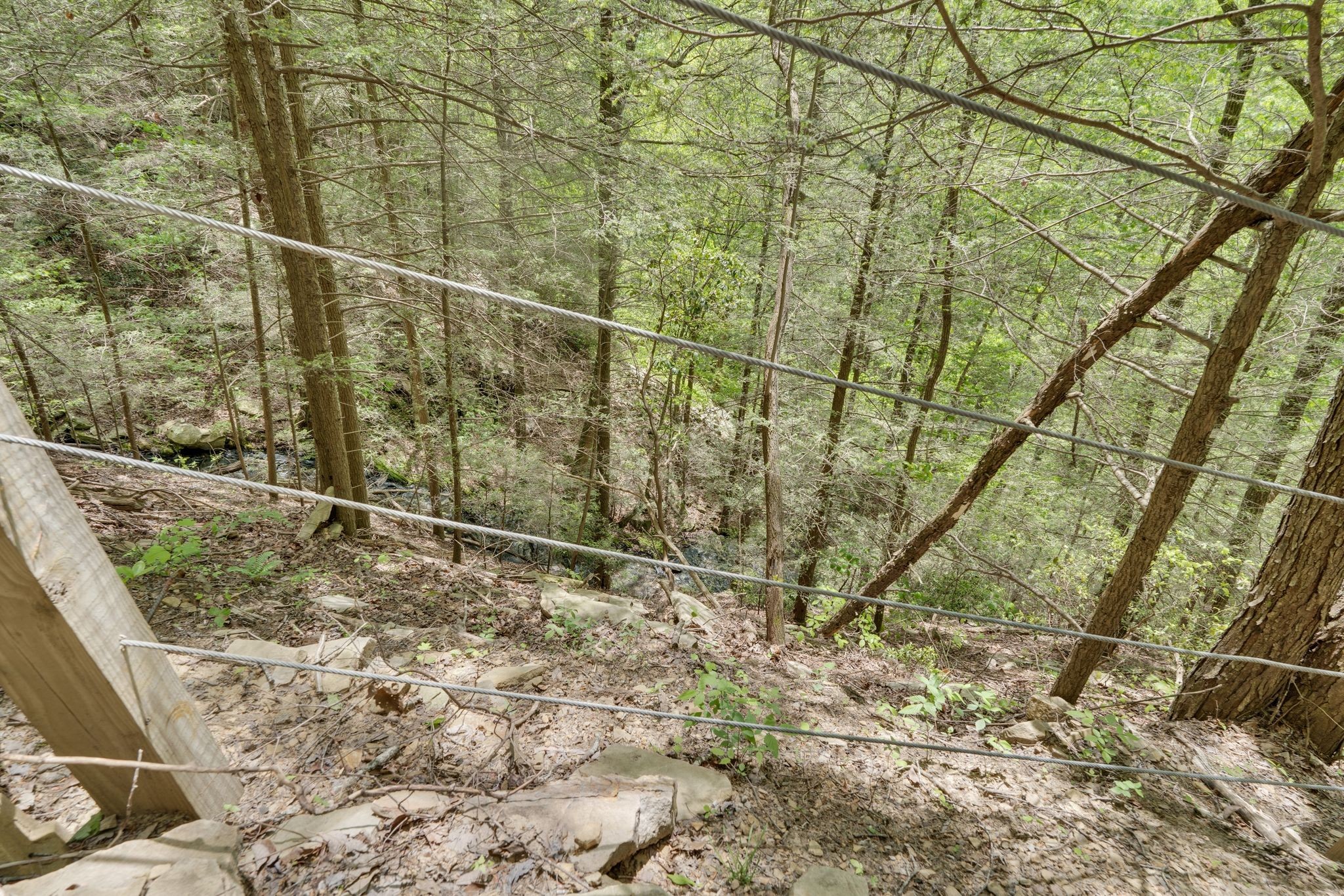 512 Deer Lick Trail Monteagle, TN 37356 - Photo 33 of 44