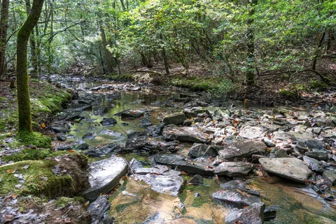 $225,000 | 512 Deer Lick Trail, Monteagle, TN 37356