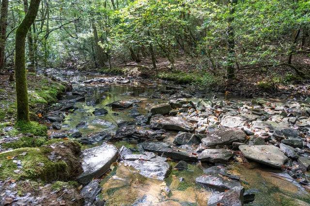 $225,000 | 512 Deer Lick Trail, Monteagle, TN 37356