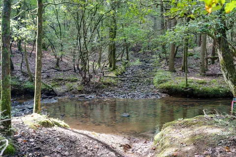 $225,000 | 512 Deer Lick Trail, Monteagle, TN 37356