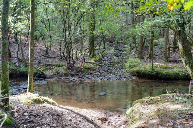 $225,000 | 512 Deer Lick Trail, Monteagle, TN 37356