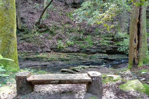 $225,000 | 512 Deer Lick Trail, Monteagle, TN 37356