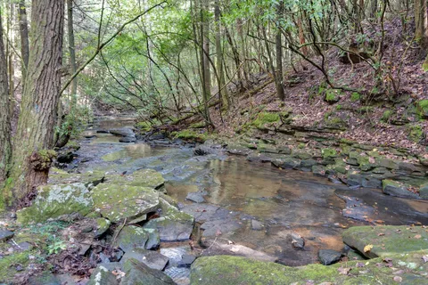 $225,000 | 512 Deer Lick Trail, Monteagle, TN 37356