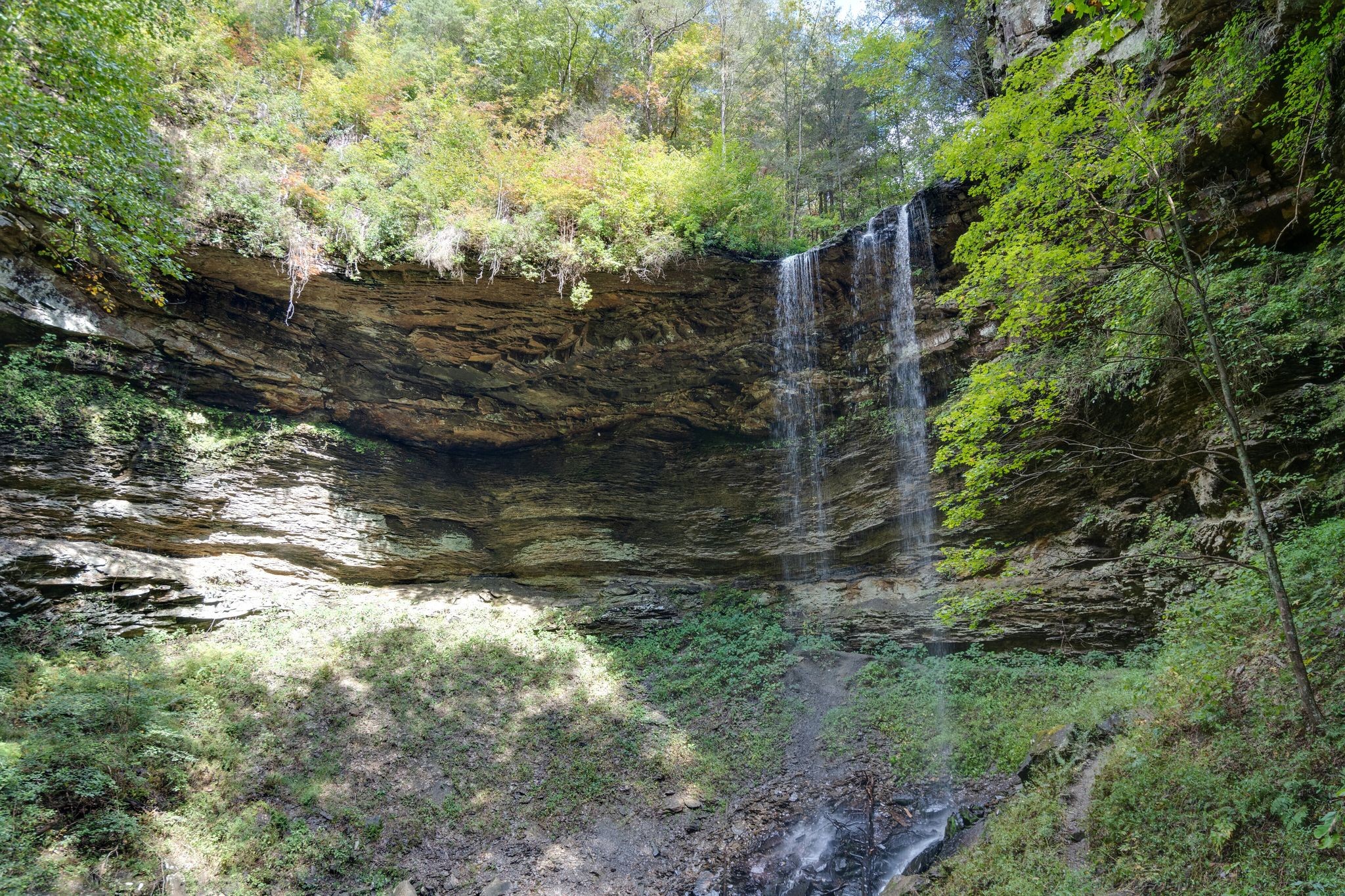 512 Deer Lick Trail Monteagle, TN 37356 - Photo 43 of 44