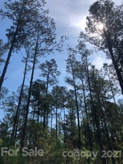 2.435-ac 2.435-ac Harmony Church Road, Unit 3 Edgemoor, SC 29712 - Photo 1 of 1 a backyard of a house with lots of green space