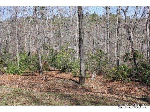 165 Butternut Lane Rutherfordton, NC 28139 - Photo 13 of 13