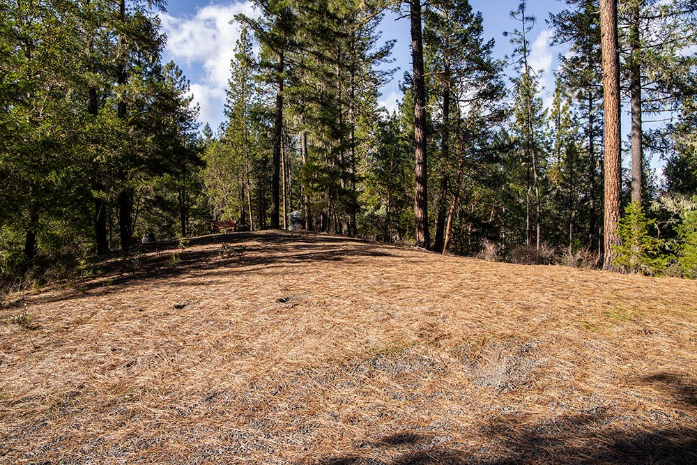 1700 Tetherow Road Williams, OR 97544 - Photo 17 of 27 16