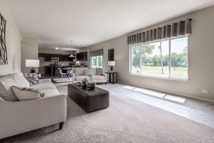 901 Willow Road Manteno, IL 60950 - Photo 9 of 17 a living room with furniture and a large window