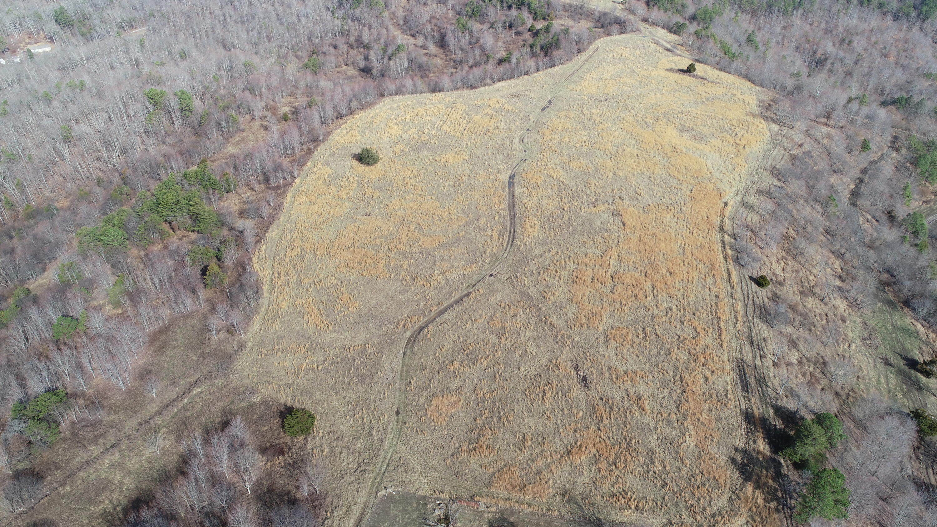 9999 Wells Road Corbin, KY 40701 - Photo 6 of 58 DJI_0689