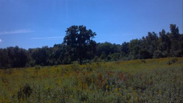 457 West Dean Road Temperance, MI 48182 - Photo 3 of 20 20390006-2.JPG