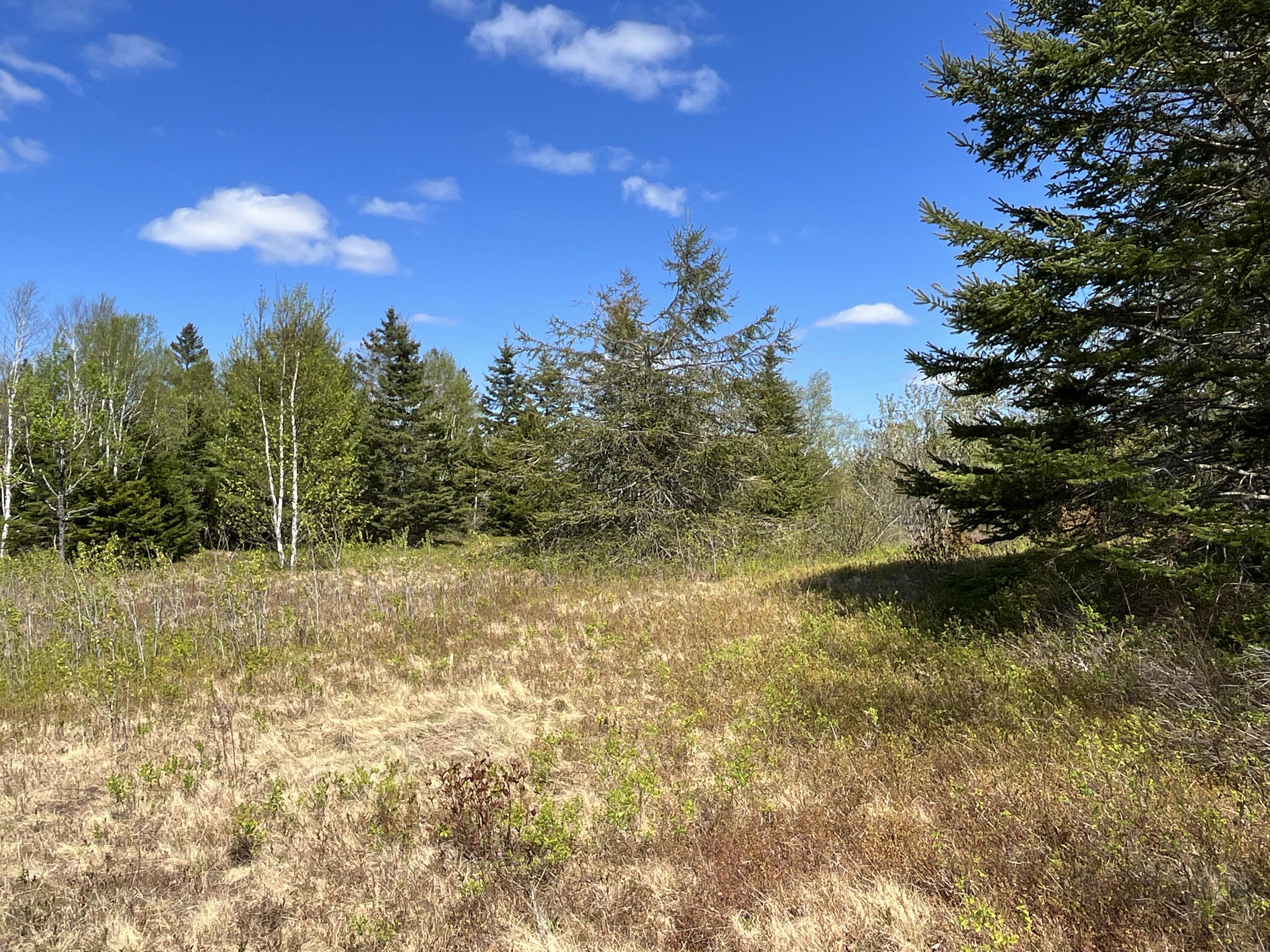 8 Blueberry Shrs Road Jonesport, ME 04649 - Photo 13 of 35 IMG_1376