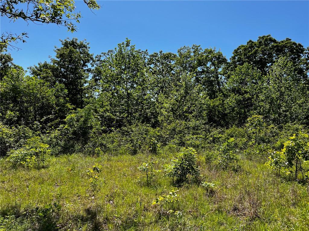 Tbd Kolb Hollow Road Climax Springs, MO 65324 - Photo 24 of 36