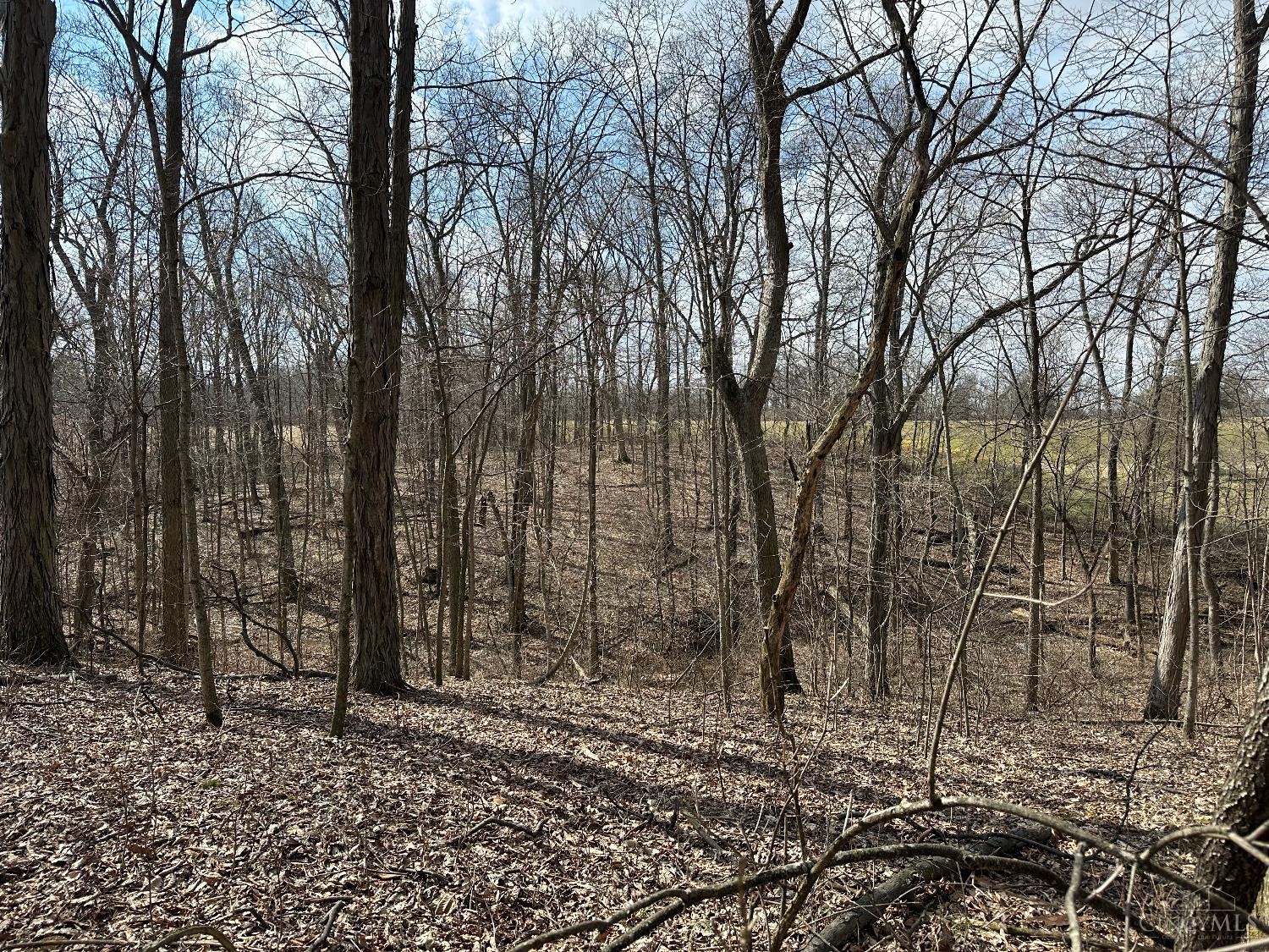 0 Wilson Road Winchester, OH 45697 - Photo 57 of 69